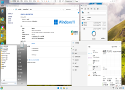 Windows 11 22H2 专业版，相当好用”